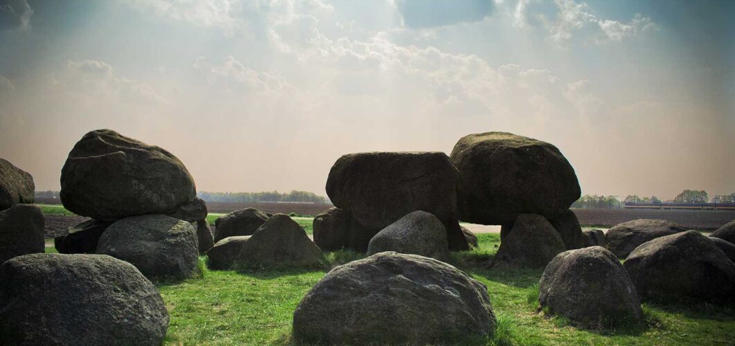 In hac habitasse platea dictumst