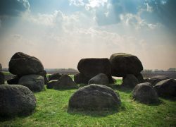 In hac habitasse platea dictumst