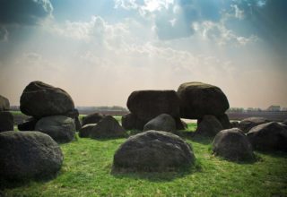 In hac habitasse platea dictumst