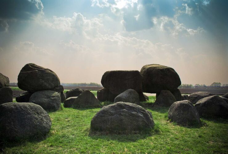 In hac habitasse platea dictumst